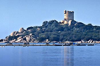 Destination Figari Vue de Figari